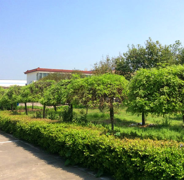 �S(ch��ng)����(sh��)��